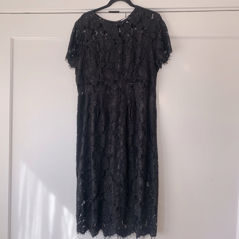 NSR Lace Midi Dress with Sheer Waist, Size XL